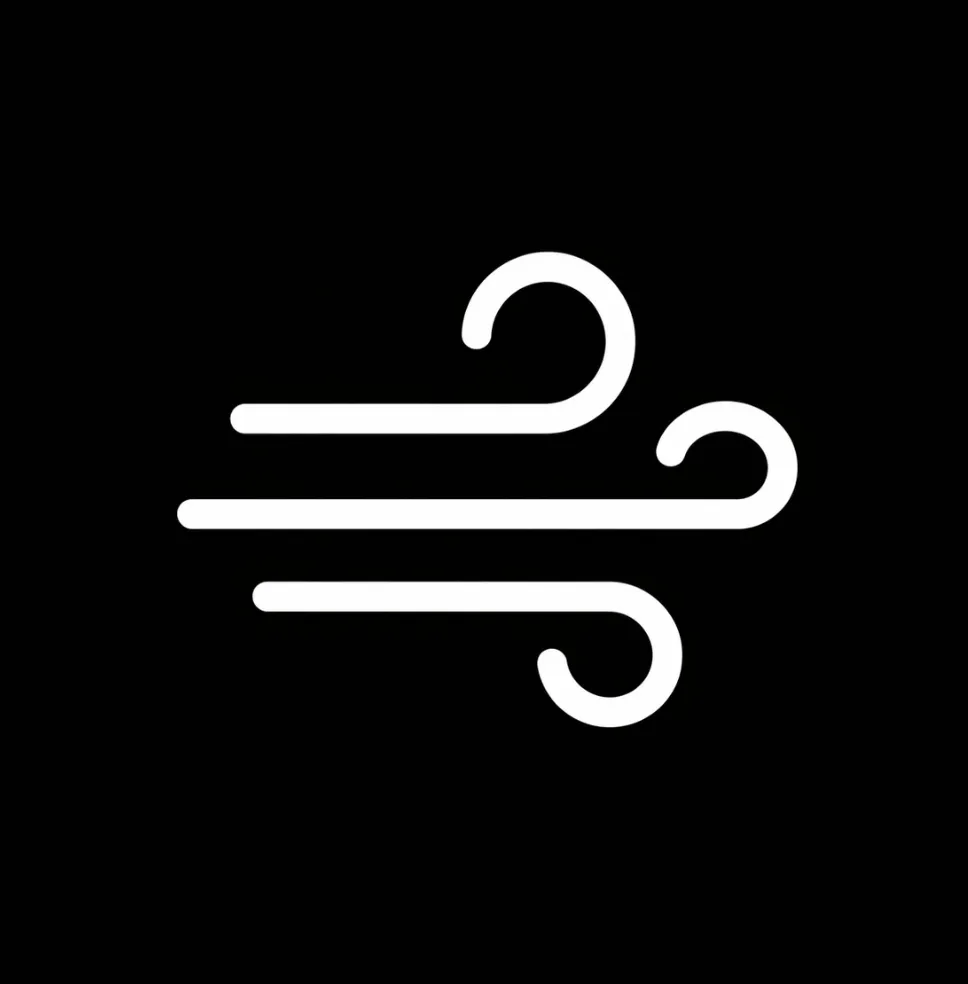 Wind Symbol